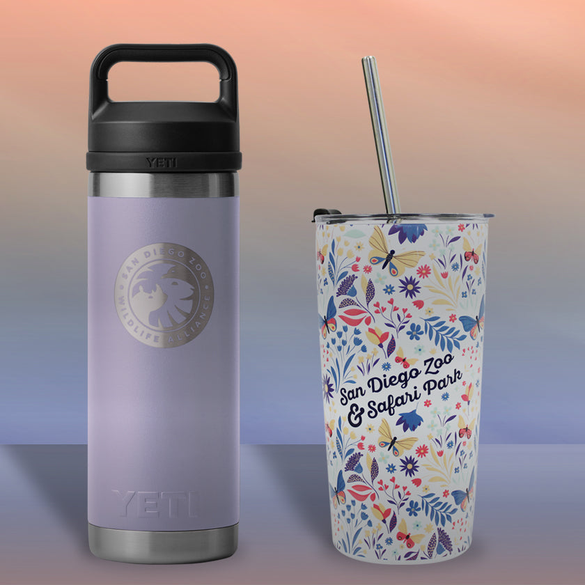 Sip Into Spring with New Drinkware