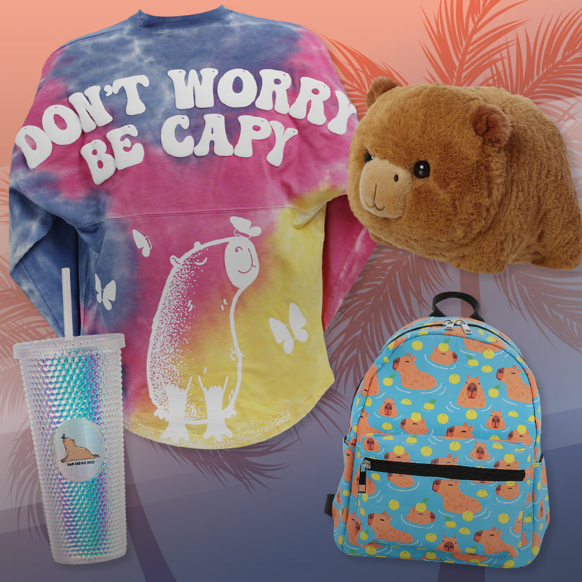 Capybara-themed Merchandise Collection