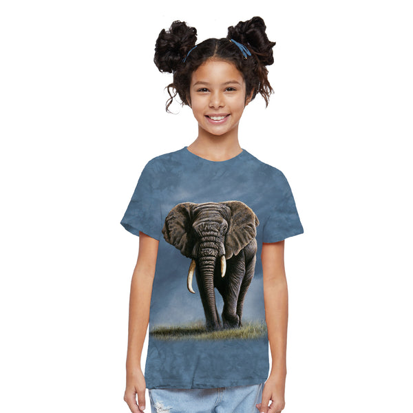 African Elephant Tie-Dyed Kids Tee - ShopZoo