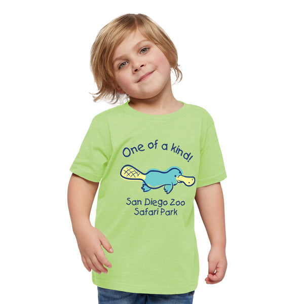 TSTONEOFAKINDPLATY138005836166