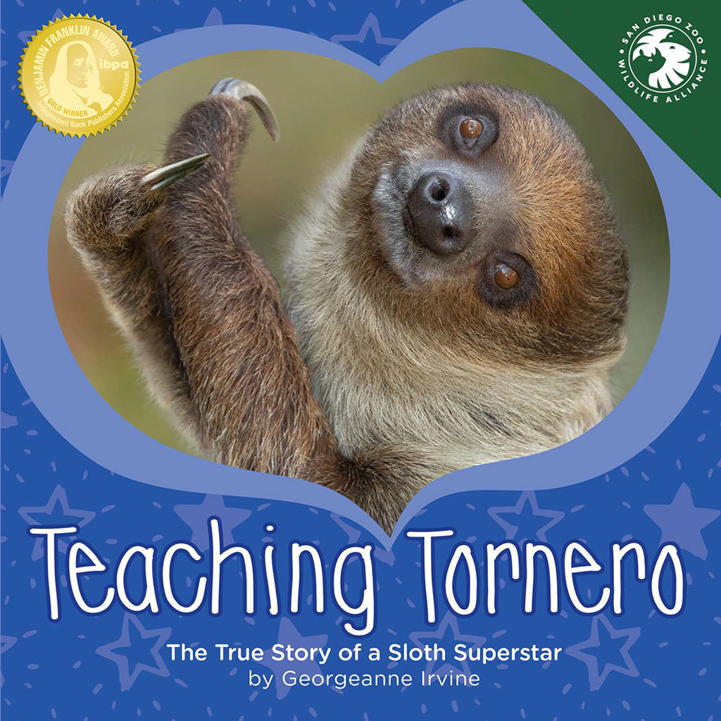 TEACHING TORNERO SLOTH STORY OF SURVIAL GEORGEANNE IRVINE CHILDRENS BOOK HOPE AND INSPIRATION SERIES