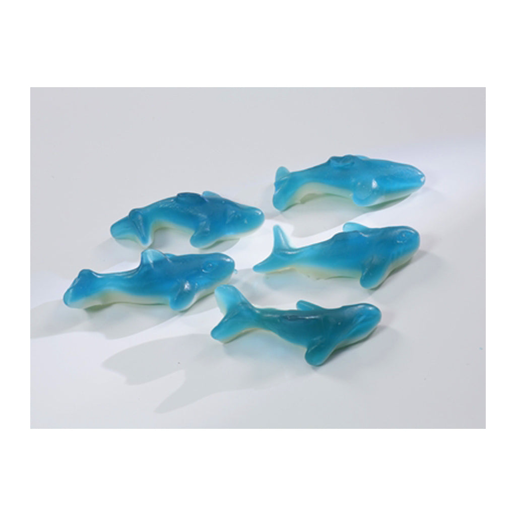 Zoo Chews - Africa Rocks Gummi Sharks