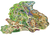 San Diego Zoo Map