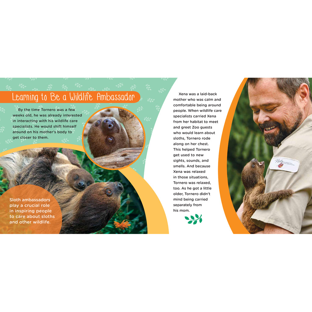 Teaching Tornero: The True Story of a Sloth Superstar