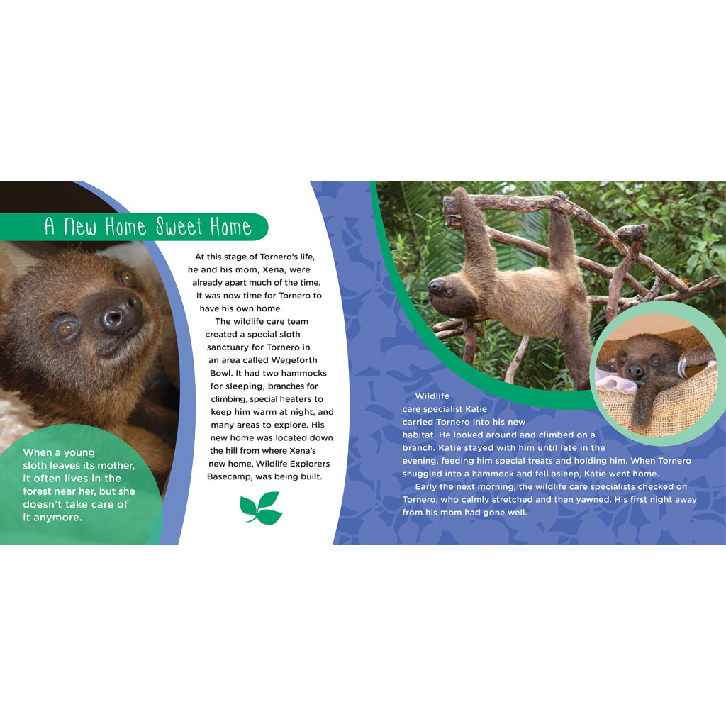 Teaching Tornero: The True Story of a Sloth Superstar