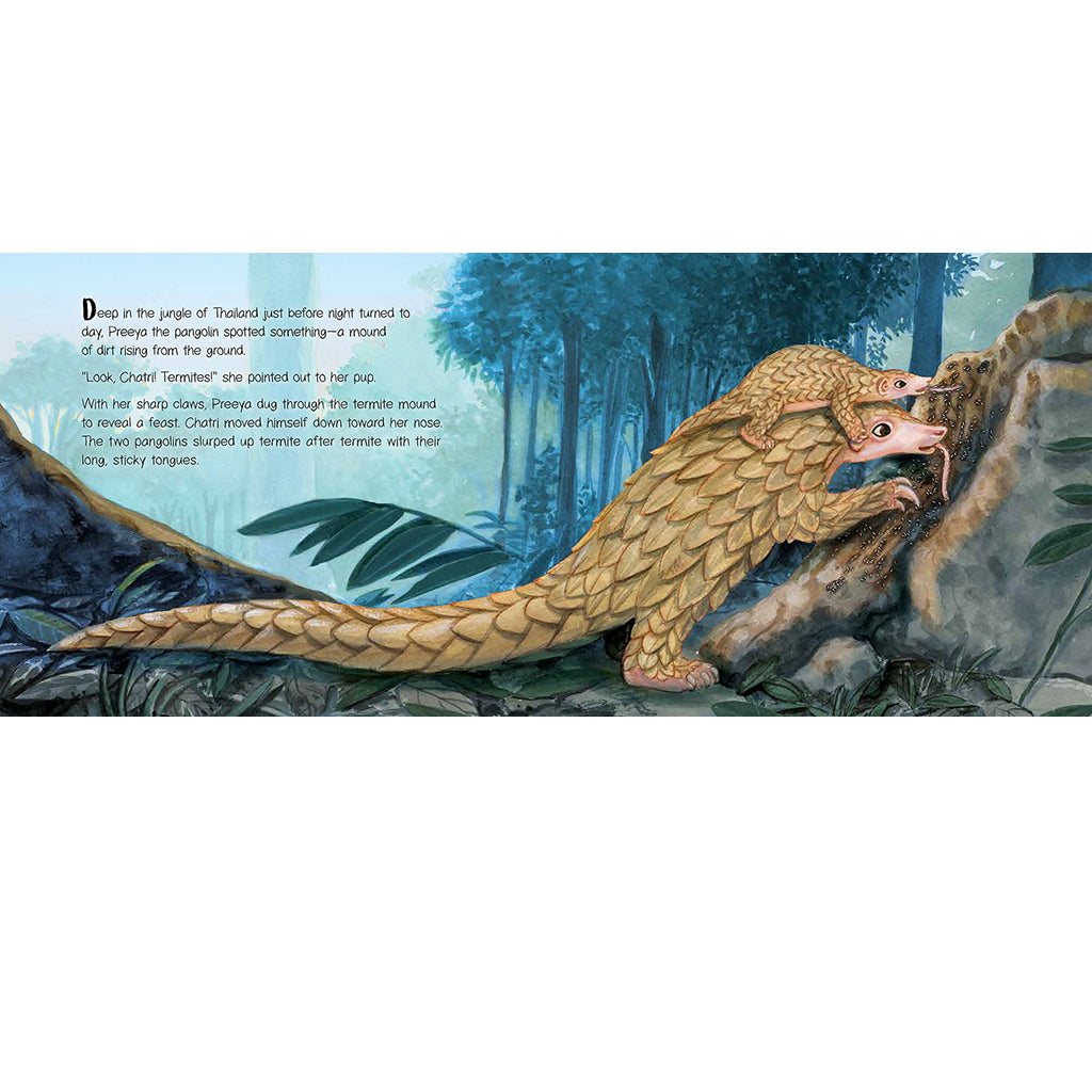 Children's Book: A Wish for Pangolin