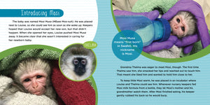 Mosi Musa: A True Tale about a Baby Monkey Raised by His Grandma