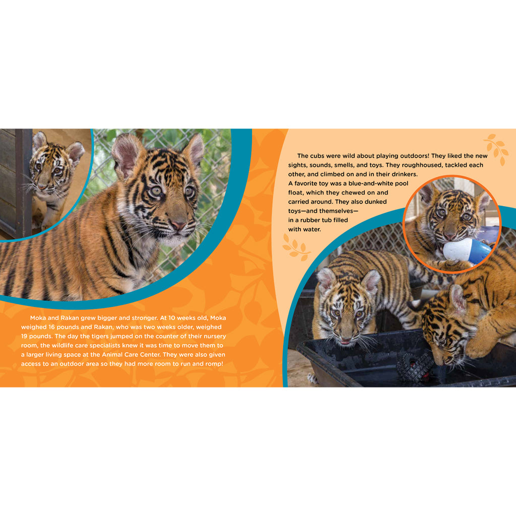 Saving Moka: The True Tale of a Rescued Tiger Cub