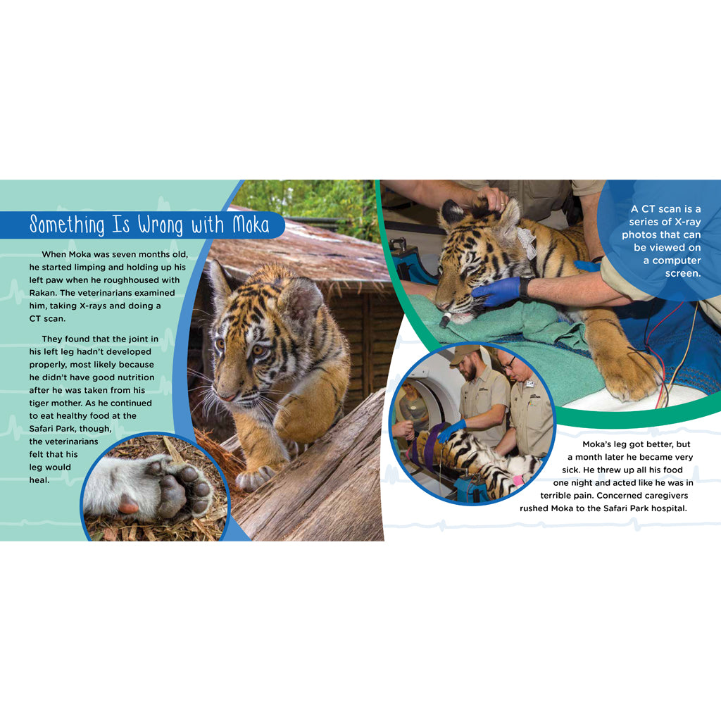 Saving Moka: The True Tale of a Rescued Tiger Cub