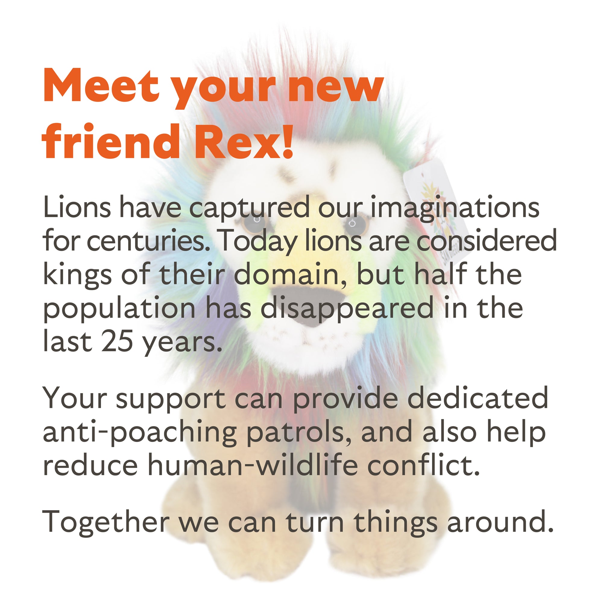 Rex the Colorful Lion Plush
