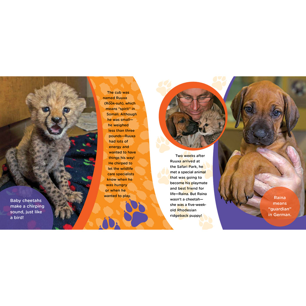 Ruuxa & Raina: A Cheetah and Dog's True Story of Friendship and Miracles