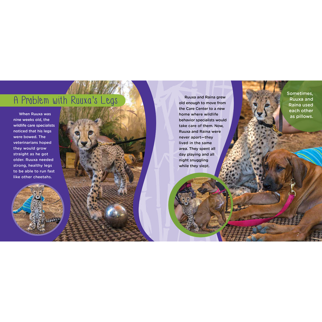 Ruuxa & Raina: A Cheetah and Dog's True Story of Friendship and Miracles