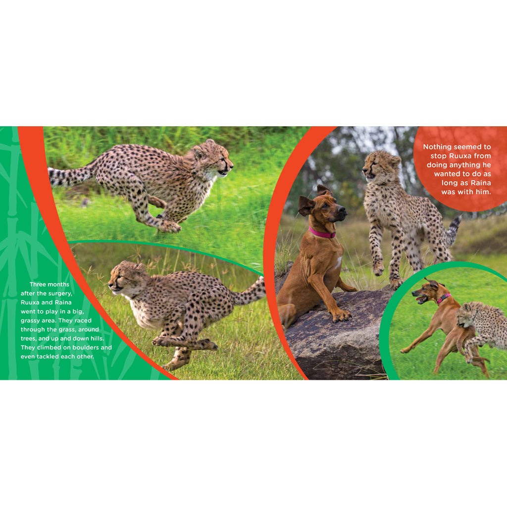 Ruuxa & Raina: A Cheetah and Dog's True Story of Friendship and Miracles